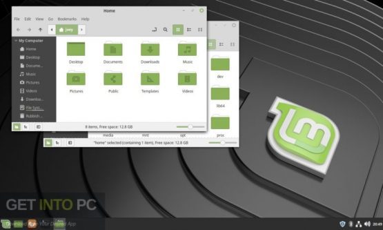 Linux Mint Offline Installer Download