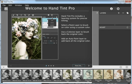 Hand Tint Pro Direct Link Download