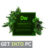 Full Adobe Dreamweaver CC