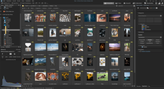 ACDSee Photo Studio Pro 2020 Direct Link Download