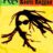 Big Fish Audio – Dread Roots Reggae (Wav, Aiff, Rex) Sound Pack Free Download