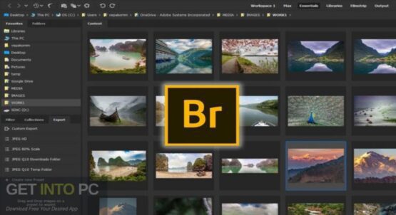 Adobe Bridge 2023 Offline Installer Download