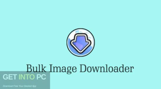 Bulk Image Downloader 2024 Free Download