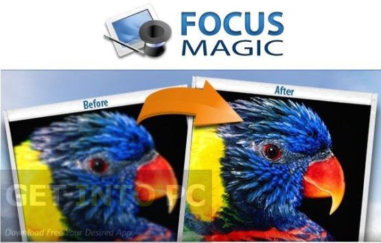 Focus Magic 2024 Free Download