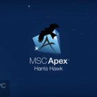 MSC Apex Harris HawkFree Download