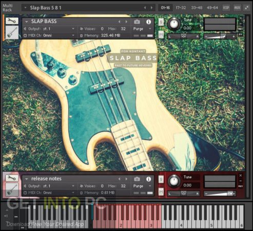 Past to Future Reverbs – Slap Bass (Kontakt) Direct Link Download