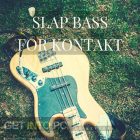 Past to Future Reverbs – Slap Bass (Kontakt) Free Download