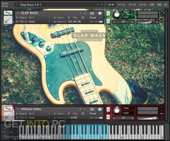 Past to Future Reverbs – Slap Bass (Kontakt) Offline Installer Download