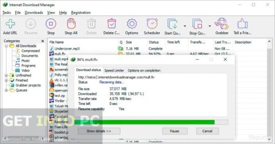 Internet Download Manager v6.42 Build 26 Direct Link Download