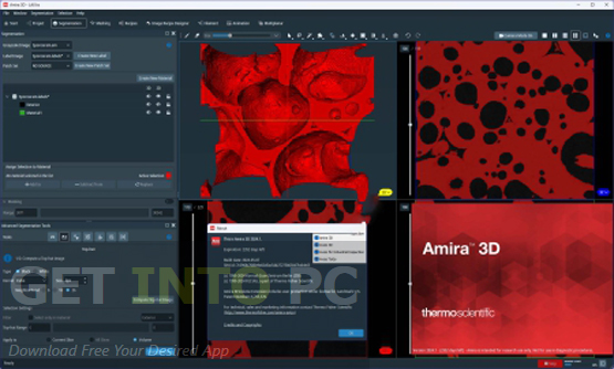 ThermoSientific AMIRA AVIZO 3D 2024 Latest Version Download
