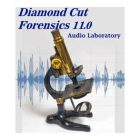 Diamond Cut Forensics Audio Laboratory 2024 Free Download