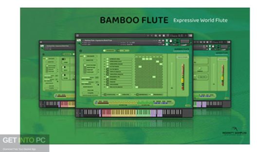 Insanity Samples – Bamboo Flute Expressive World Flute (Kontakt) Free Download