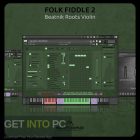 Insanity Samples – Folk Fiddle 2 Beatnik Roots Violin v3. 0.0 ( Kontakt) Free Download