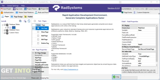 RadSystems Studio 2025 Direct Link Download